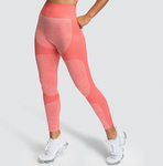 Women's High Waist Seamless Leggings in Various Colours